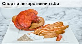 Прием на лекарствени гъби при спорт