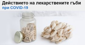 Лекарствени гъби при COVID-19