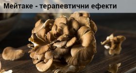 Гъбата Мейтаке и нейният терапевтичен ефект